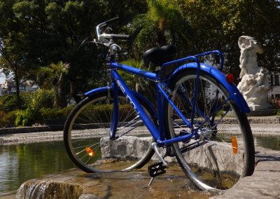 bicicleta-ejecutiva-sunny-rodado-28-de-aluminio-estilo-clasico-holandes