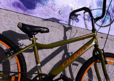 OLMO MINT