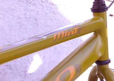 OLMO MINT