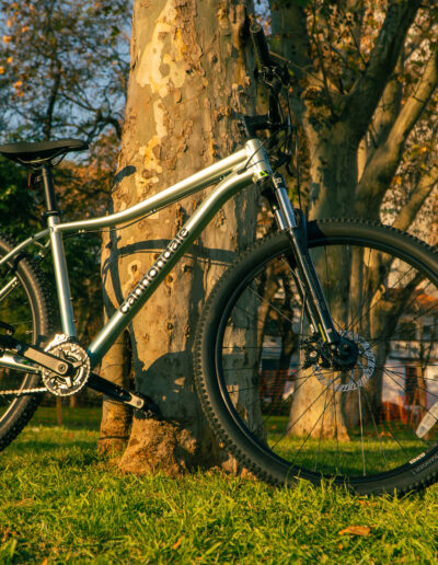 CANNONDALE TRAIL